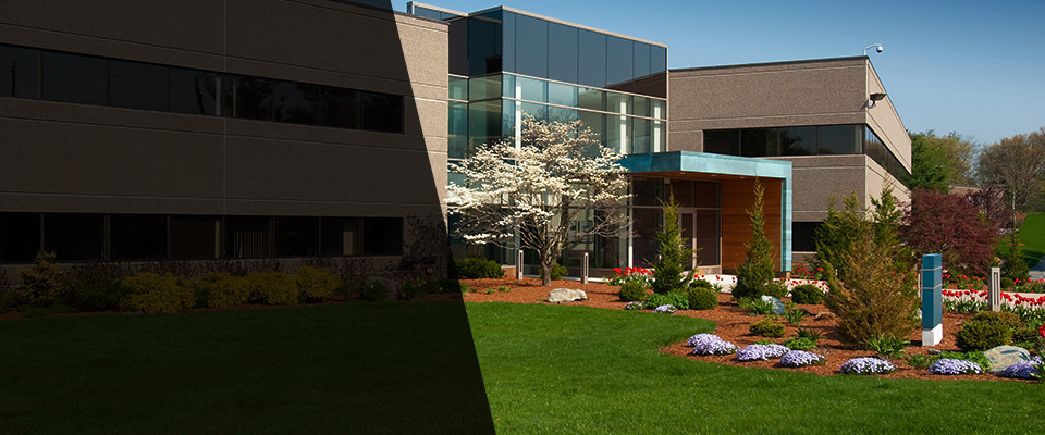 Albany Landscapers