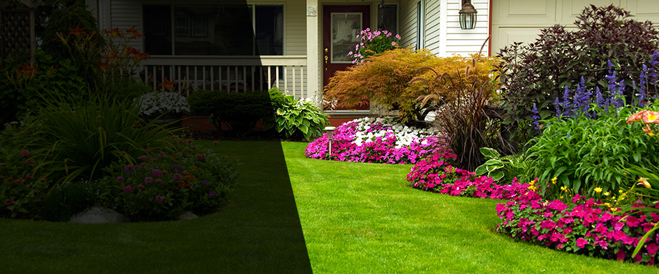 Albany Landscapers